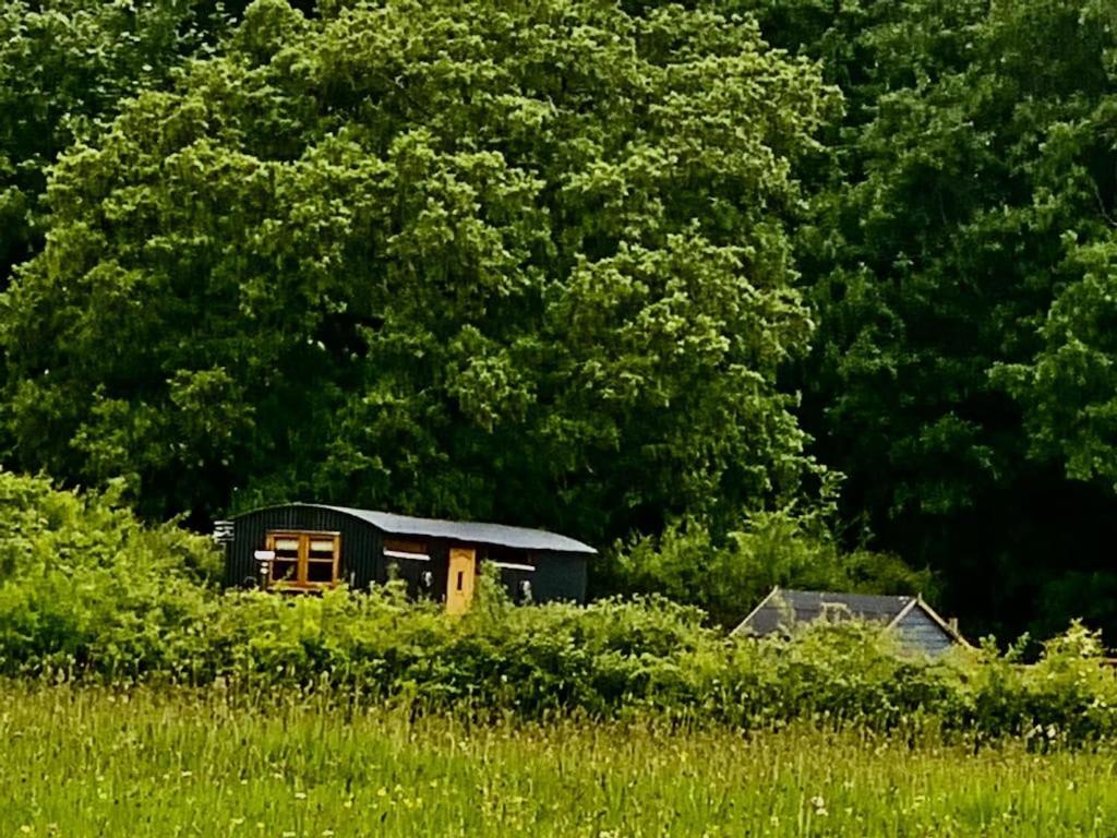 Shepherds Hut With Scandinavian Hot Tub And Hydromassager Sway ภายนอก รูปภาพ